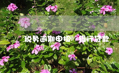 税务逾期申报 银行贷款 税务逾期申报 银行贷款
